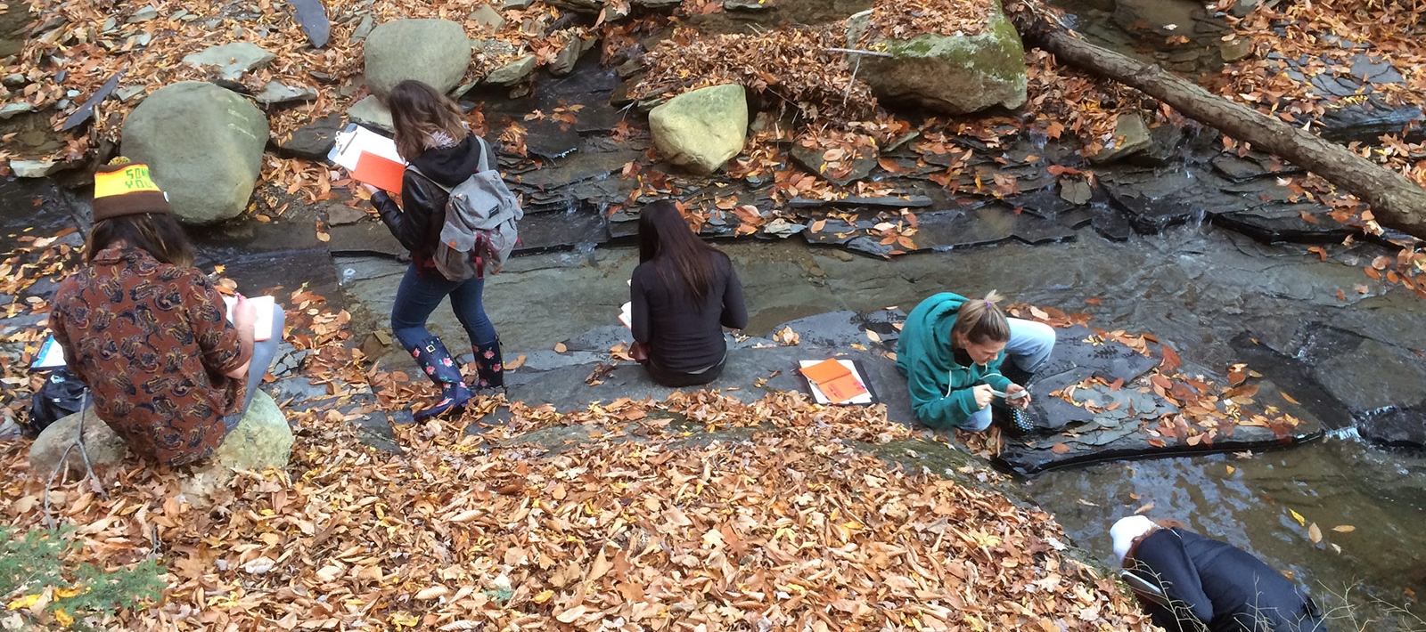Earth Science students in the field